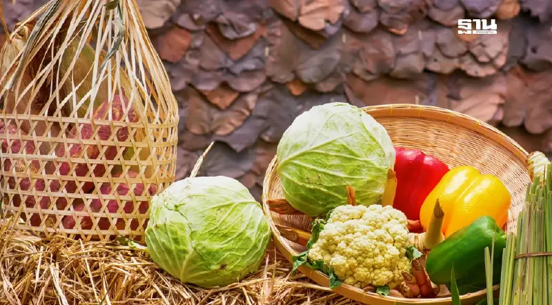 ดีลภาษีสหรัฐยื้อ ถกสินค้าเกษตรไทย 1,855 รายการยังไม่ลงตัว