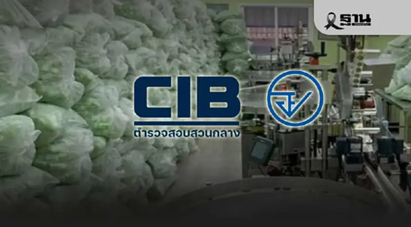 CIB ร่วมกับ อย. ทลายโรงงานเถื่อน ยาดมสมุนไพรยี่ห้อดัง ยึดของกลาง 2 ล้านชิ้น CIB ร่วมกับ อย. ทลายโรงงานเถื่อน ยาดมสมุนไพรยี่ห้อดัง ยึดของกลาง 2 ล้านชิ้น