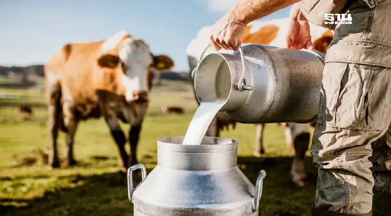 โคนมเดือด! ชุมนุมฯ แฉ`สหกรณ์-ศูนย์นม` ถูกเทน้ำนมดิบทิ้ง หวังช้อนซื้อราคาถูก โคนมเดือด! ชุมนุมฯ แฉ`สหกรณ์-ศูนย์นม` ถูกเทน้ำนมดิบทิ้ง หวังช้อนซื้อราคาถูก