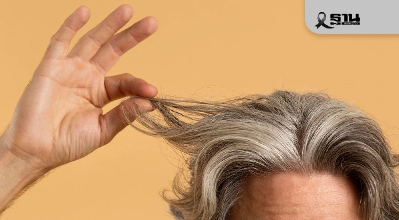 ไขความลับ ‘ผมหงอก-ผมร่วง-ห้วล้าน’ บ่งบอกความผิดปกติของสุขภาพ ไขความลับ ‘ผมหงอก-ผมร่วง-ห้วล้าน’ บ่งบอกความผิดปกติของสุขภาพ