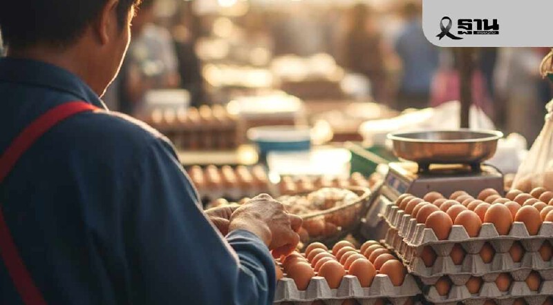 .รีบซื้อด่วน! “ส่งออก-คนละครึ่งพลัส” หนุน ไข่ไก่ ปรับขึ้นแผงละ 6 บาท มีผล วันที่ 10 พ.ย.นี้.
