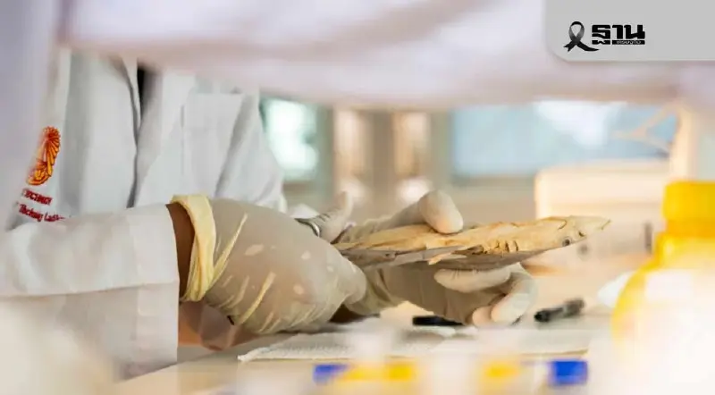 เตือนทาสหมา-แมว 'ขนมฉลามอบแห้ง' มีสารหนูเกินมาตรฐาน เสี่ยงสุขภาพสัตว์เลี้ยง