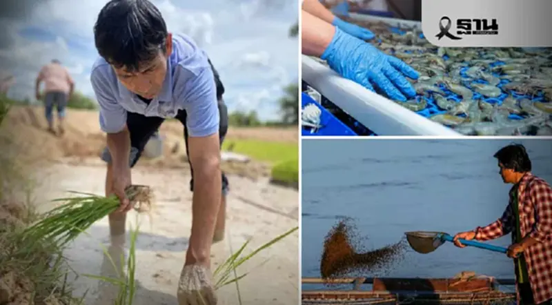 เกษตรกรรม 4.0 ไทยเริ่มแล้ว ! กรมทรัพย์สินทางปัญญา- WIPO หนุน SMEs ขยายตลาดโลก เกษตรกรรม 4.0 ไทยเริ่มแล้ว ! กรมทรัพย์สินทางปัญญา- WIPO หนุน SMEs ขยายตลาดโลก