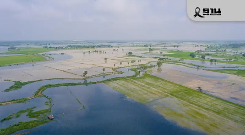 อุทกภัยพ่นพิษ! พื้นที่เกษตรจมน้ำกว่า 1.3 ล้านไร่ สูญกว่า 1,100 ล้านบาท อุทกภัยพ่นพิษ! พื้นที่เกษตรจมน้ำกว่า 1.3 ล้านไร่ สูญกว่า 1,100 ล้านบาท