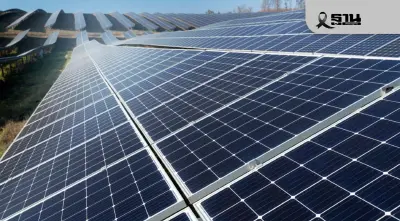 กกพ.ร่อนหนังสือแจ้ง 64 เอกชนช่วยลดค่าไฟ 1 สตางค์โครงการโซลาร์บิ๊กล็อต