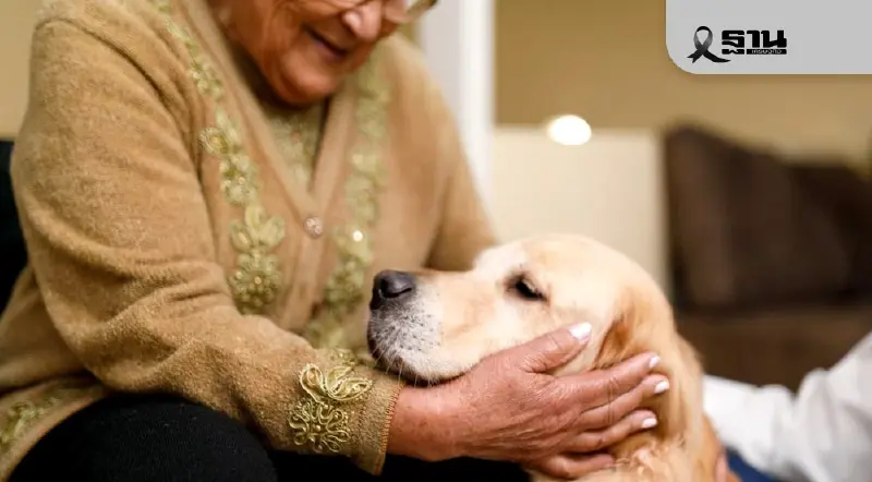 เจาะพฤติกรรมผู้บริโภคปี 2026 สังคมสูงวัย-ลูกรักสี่ขา สินค้ามาแรงแซงโค้ง