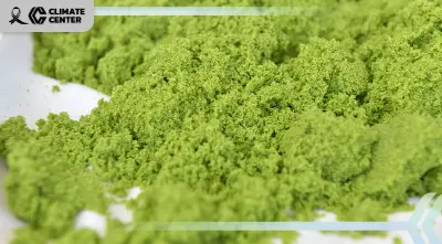 มกอช. จับมือญี่ปุ่น ลุยฉลากลดคาร์บอน ดัน “ไข่ผำ” บุกตลาดโตเกียว