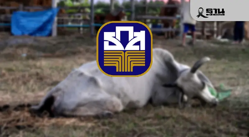 ธ.ก.ส.ออกพักหนี้-ฟื้นฟูเกษตรกร โดนผลกระทบชายแดนไทย-กัมพูชา