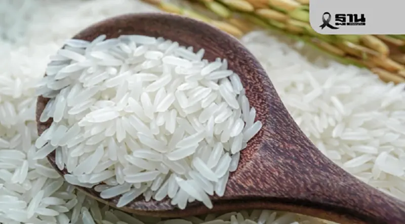 ‘ข้าวประณีต’ อัปราคา 10 เท่าเดือด! ชาวนาขอความชัดเจน พร้อมผลิต–ไม่เพ้อฝัน ‘ข้าวประณีต’ อัปราคา 10 เท่าเดือด! ชาวนาขอความชัดเจน พร้อมผลิต–ไม่เพ้อฝัน