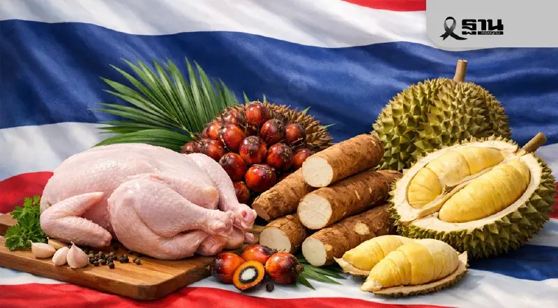 เปิดโผสินค้าเกษตร ปี 2569 ใครรุ่ง ใครร่วง ‘ไก่-ปาล์ม-มัน-ทุเรียน’มาแรง ‘ข้าว-ยาง’ เสี่ยง เปิดโผสินค้าเกษตร ปี 2569 ใครรุ่ง ใครร่วง ‘ไก่-ปาล์ม-มัน-ทุเรียน’มาแรง ‘ข้าว-ยาง’ เสี่ยง