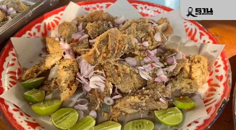 อยู่ร่วมอย่างรู้เท่าทัน : วิกฤตคือโอกาส “ปลาต่างถิ่น” ในสังคมไทย อยู่ร่วมอย่างรู้เท่าทัน : วิกฤตคือโอกาส “ปลาต่างถิ่น” ในสังคมไทย