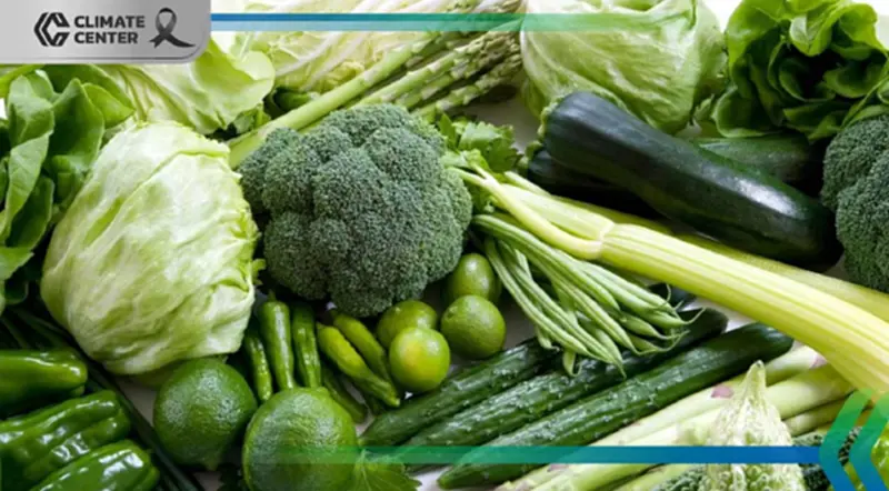 “Green Food” จีนทะยาน! เร่งสู่การผลิตอัจฉริยะ–ยั่งยืน–สากล เขย่าโลกอาหารอนาคต “Green Food” จีนทะยาน! เร่งสู่การผลิตอัจฉริยะ–ยั่งยืน–สากล เขย่าโลกอาหารอนาคต