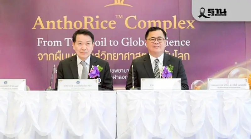 ‘จุฬาฯ – มหิดล’ ร่วมลงนาม ยกระดับสารสกัดข้าวไรซ์เบอร์รี่สู่ตลาด ‘จุฬาฯ – มหิดล’ ร่วมลงนาม ยกระดับสารสกัดข้าวไรซ์เบอร์รี่สู่ตลาด