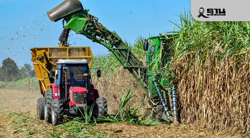 มิตรผลเดินหน้า “นะโม ตัดสด” ชวนเกษตรกรตัดอ้อยสด สร้างรายได้–ลดเผา สู่พลังงานสะอาด