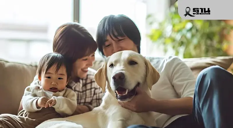 สัตว์เลี้ยงป่วยเรื้อรังเพิ่ม "สเต็มเซลล์" ถูกจับตาเป็นทางเลือกใหม่ยุค Pet Parenting