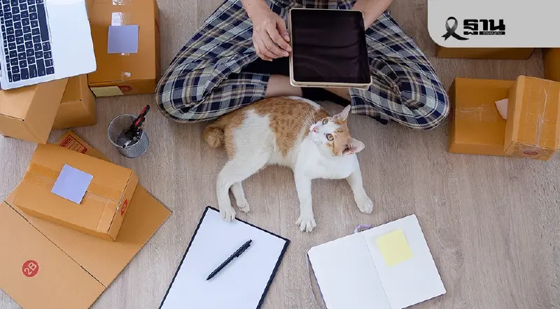 แบงก์ชาติสั่งจับตา 4 จุดเปราะบาง ห่วง SMEs-อสังหาฯ-รายใหญ่หนี้สูง