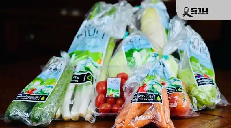 ผัก ‘ภูทับเบิก’ บุกโมเดิร์นเทรด ดัน GAP–อินทรีย์ เพิ่มมูลค่าเกษตรกรพื้นที่สูง