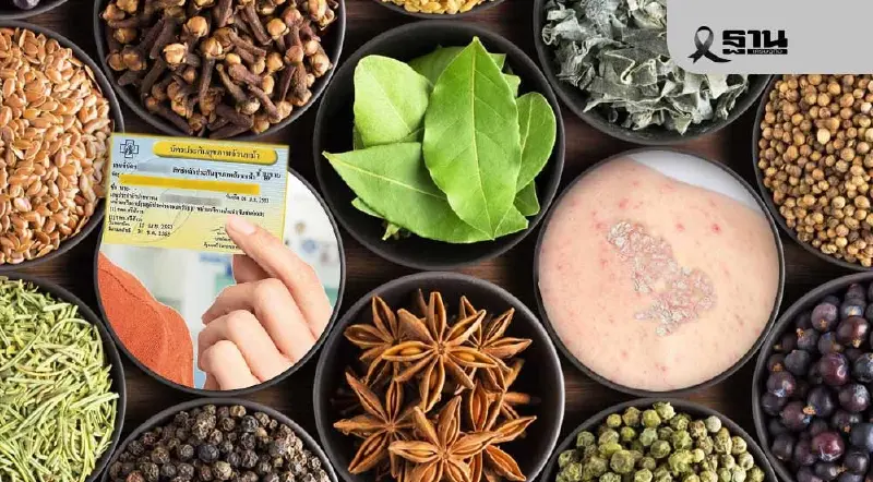 สธ.จ่อดัน 'ตำรับยาสมุนไพรปรุงเฉพาะราย' เข้าบัตรทองรักษาโรคสะเก็ดเงิน
