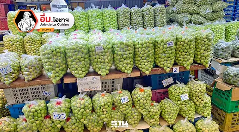 พุทราลูกแก้ว กาแฟโกปี๊ พุทราลูกแก้ว กาแฟโกปี๊