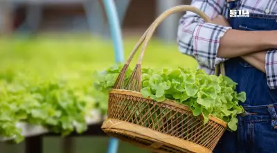 เกษตรไทยติดกับดักโครงสร้าง รายย่อยเข้าไม่ถึงตลาดโลก