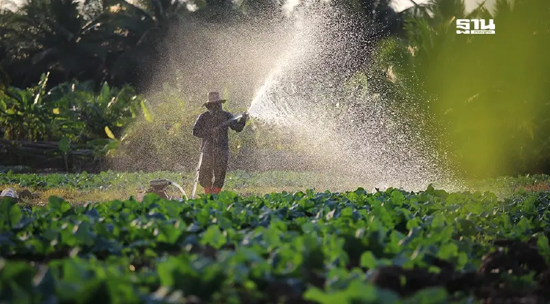 ธุรกิจเกษตร-อาหาร ชี้สัญญาณปี 69 ไม่ดี เร่งปรับตัวบุกตลาดเอเชีย
