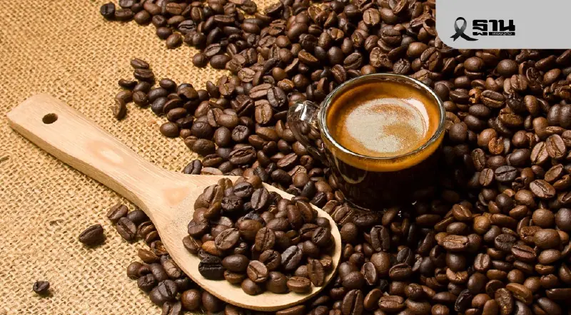 พาณิชย์เปิดขุมทรัพย์กาแฟ GI ไทย 11 รายการ ดันราคาพุ่งแรงสูงสุด 7 เท่าตัว พาณิชย์เปิดขุมทรัพย์กาแฟ GI ไทย 11 รายการ ดันราคาพุ่งแรงสูงสุด 7 เท่าตัว