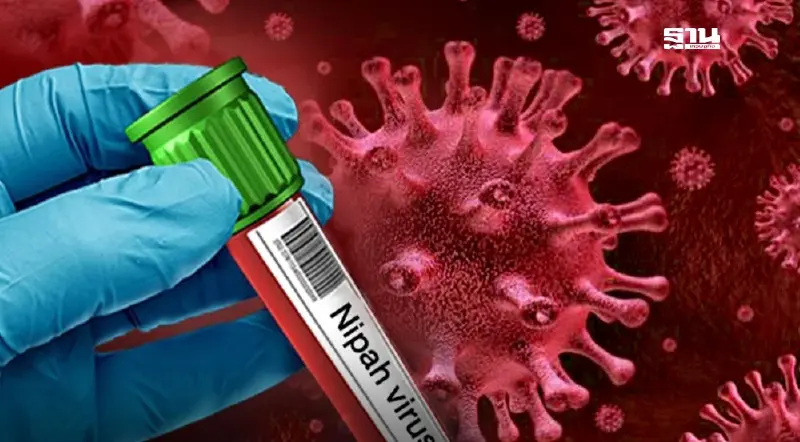 สธ.เฝ้าระวัง 'ไวรัสนิปาห์' จับตาคนไทยกลุ่มเสี่ยงกลับจากอินเดีย สธ.เฝ้าระวัง 'ไวรัสนิปาห์' จับตาคนไทยกลุ่มเสี่ยงกลับจากอินเดีย