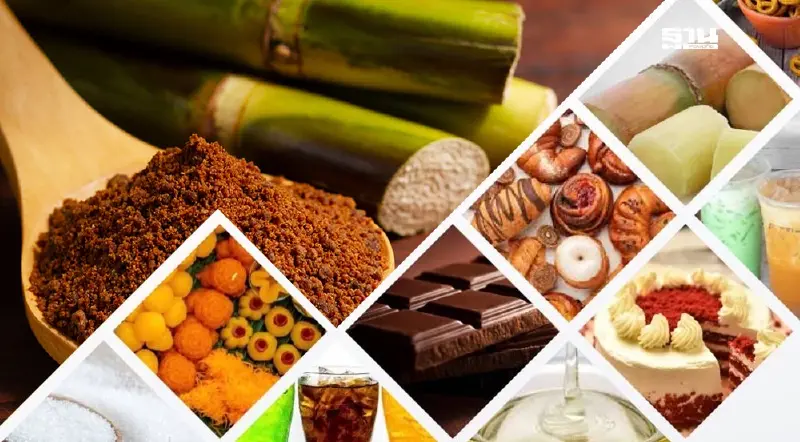 สอน. ปั้น ‘Sugar Ecolabel’ ดึงนวัตกรรมลด PM2.5 อุตฯอ้อย-น้ำตาลครั้งแรกในไทย