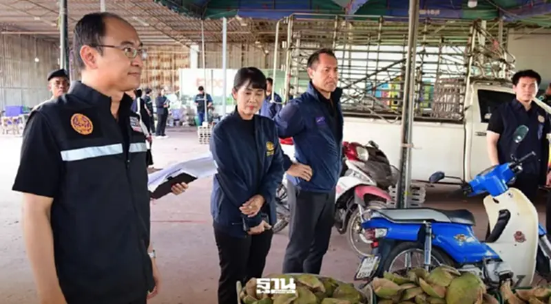 พาณิชย์ ลุยปราบนอมินี ตรวจล้งมะพร้าว จ.ราชบุรี เจอผิดกฎหมาย 2 ราย พาณิชย์ ลุยปราบนอมินี ตรวจล้งมะพร้าว จ.ราชบุรี เจอผิดกฎหมาย 2 ราย