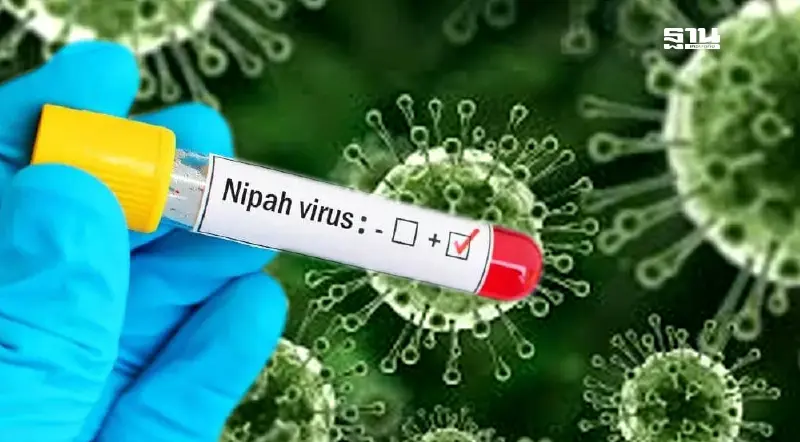 รัฐบาลคุมเข้ม! เฝ้าระวัง “ไวรัสนิปาห์” หลังอินเดียป่วยพุ่ง ย้ำไทยยังปลอดภัย
