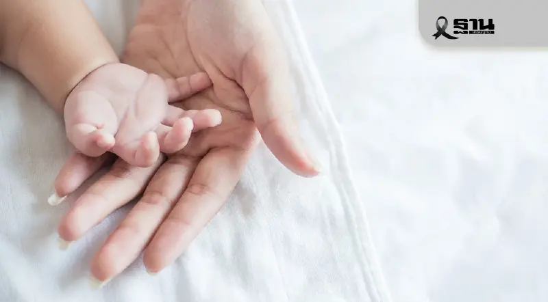 เงินอุดหนุนบุตรเดือนมกราคม 2569 โอนไวขึ้น เช็กปฏิทินจ่ายเงินที่นี่ เงินอุดหนุนบุตรเดือนมกราคม 2569 โอนไวขึ้น เช็กปฏิทินจ่ายเงินที่นี่