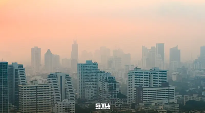 กทม. อ่วม! PM 2.5 พุ่งส้มรับอรุณ หนองจอกทะลุ 80 มคก. เช็ก 12 เขตเสี่ยงสูง กทม. อ่วม! PM 2.5 พุ่งส้มรับอรุณ หนองจอกทะลุ 80 มคก. เช็ก 12 เขตเสี่ยงสูง
