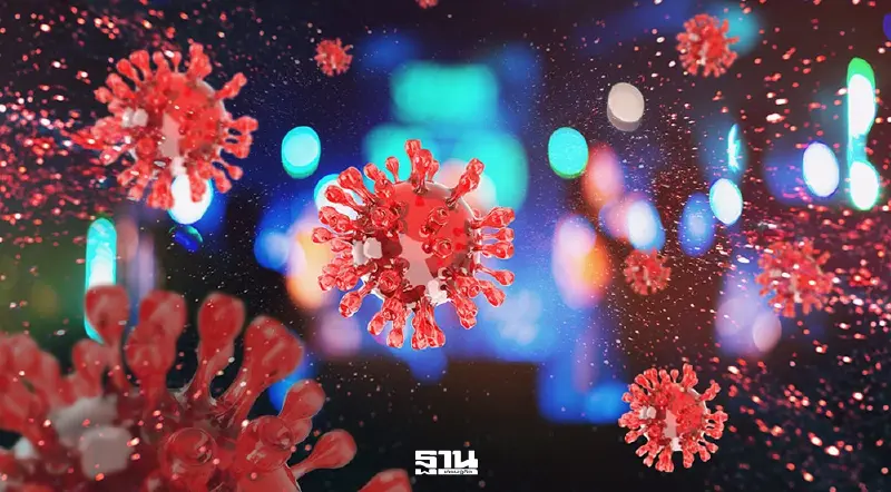 กรมการแพทย์ ยันยังไม่พบ 'ไวรัสนิปาห์' ในไทยแต่ไม่ประมาท กรมการแพทย์ ยันยังไม่พบ 'ไวรัสนิปาห์' ในไทยแต่ไม่ประมาท