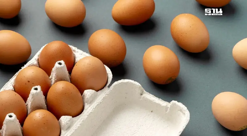 ไข่ไก่ราคาดิ่ง แค่ 3 วันลด 40 สตางค์ต่อฟอง ปรับลง 12 บาทต่อแผง ไข่ไก่ราคาดิ่ง แค่ 3 วันลด 40 สตางค์ต่อฟอง ปรับลง 12 บาทต่อแผง