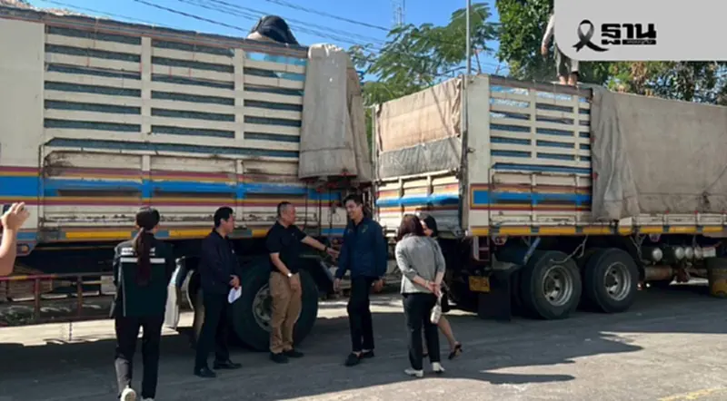 พาณิชย์ สั่งระงับนำเข้ามันเส้น 9 ราย คุณภาพต่ำกว่ามาตรฐาน พาณิชย์ สั่งระงับนำเข้ามันเส้น 9 ราย คุณภาพต่ำกว่ามาตรฐาน