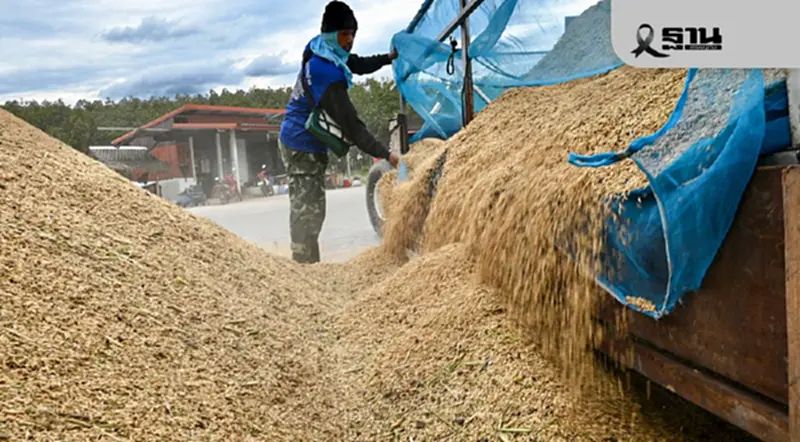 ครม.เบรกพาณิชย์ขอเงิน 1,680 ล้าน จ่ายขาดข้าวเปลือกนาปี ชงรัฐบาลใหม่แทน ครม.เบรกพาณิชย์ขอเงิน 1,680 ล้าน จ่ายขาดข้าวเปลือกนาปี ชงรัฐบาลใหม่แทน