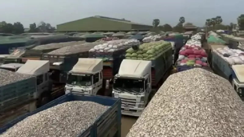 ชาวบ้านผวา! ลักลอบขนมันสำปะหลังกัมพูชาอ้อมลาวเข้าไทย กดราคาดิ่ง วอนรัฐเอาจริง