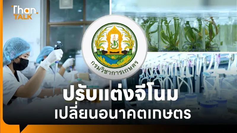 "กรมวิชาการเกษตร" การปรับแต่งจีโนม เทคโนโลยีเปลี่ยนอนาคตการเกษตร