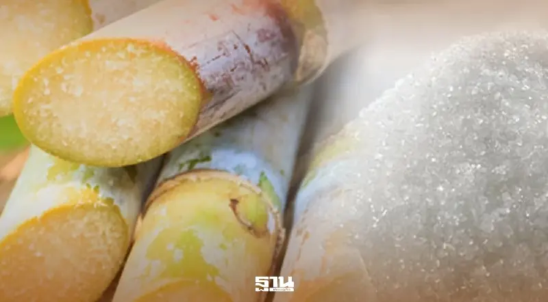 ครม.ถกราคาอ้อย-น้ำตาลทรายขั้นต้น ปี 2568/69 จับตาการเมืองหลังเลือกตั้ง