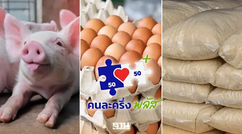 'คนละครึ่งพลัส เฟส 2' จ่อปลุกตลาด ไข่–หมู–ข้าวถุง คึกคัก 'คนละครึ่งพลัส เฟส 2' จ่อปลุกตลาด ไข่–หมู–ข้าวถุง คึกคัก