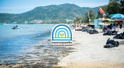 คพ. ติดตามสาหร่ายชายหาดป่าตอง ภูเก็ต ลุยตรวจคุณภาพน้ำทะเลชายฝั่ง