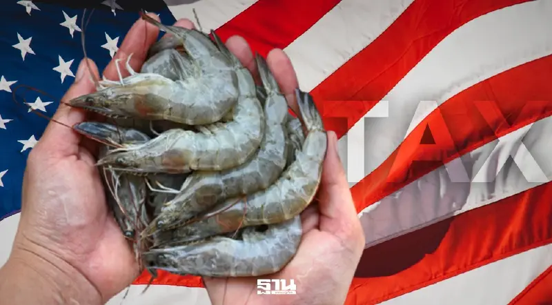 "เอกวาดอร์” รับอานิสงส์ภาษีกุ้งสหรัฐฯ ส่งออกพุ่ง 48% สวนไทยยอดขายหด "เอกวาดอร์” รับอานิสงส์ภาษีกุ้งสหรัฐฯ ส่งออกพุ่ง 48% สวนไทยยอดขายหด