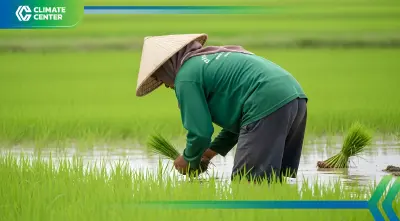 ‘เนทซีโรคาร์บอน’ ลุยทำนาเปียกสลับแห้ง สุพรรณบุรี ดันเป้าหมาย 6.2 ล้านไร่