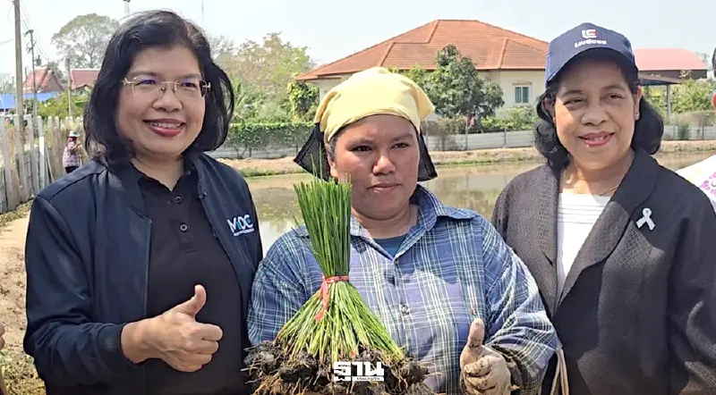 กรมทรัพยฯ ลุยปั้น GI “แห้วสุพรรณ” ดันมูลค่าเพิ่ม-เร่งขยายตลาด