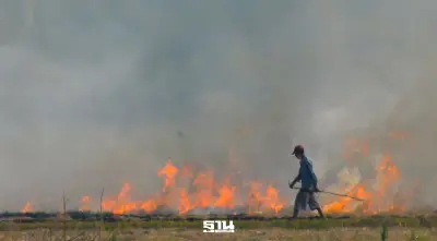 ครม. เคาะแผนแก้ปัญหาฝุ่น PM 2.5 ปี 69 ตั้งเป้าลดเผาป่า-คุมเข้มโรงงาน