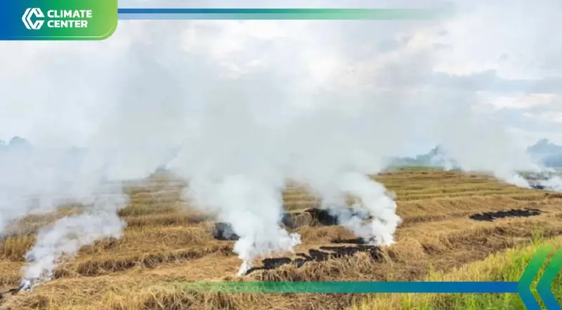 ลดเผาในภาคเกษตร 9 พรรคการเมืองเสนอนโยบายเดิมพัน 'เปลี่ยนแรงจูงใจ' ลดเผาในภาคเกษตร 9 พรรคการเมืองเสนอนโยบายเดิมพัน 'เปลี่ยนแรงจูงใจ'