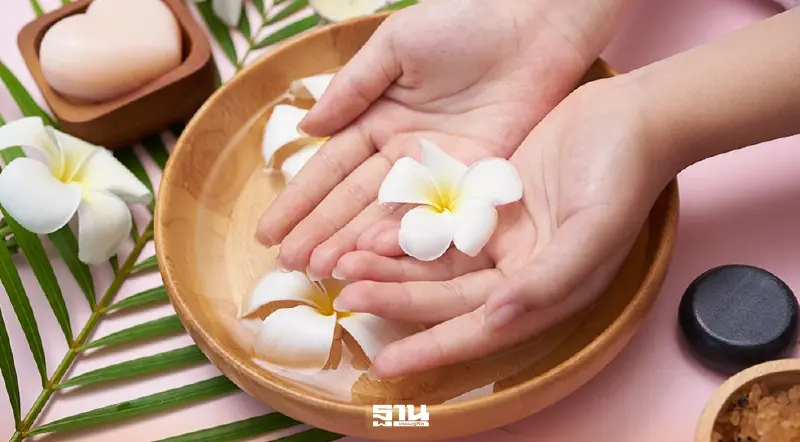 ไทยเจ้าภาพ ‘Global Wellness Summit 2026’ สมาคมสปาฯ จี้รัฐปลดล็อกกฎหมาย-ลงทุน ไทยเจ้าภาพ ‘Global Wellness Summit 2026’ สมาคมสปาฯ จี้รัฐปลดล็อกกฎหมาย-ลงทุน