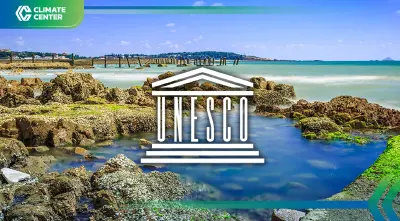 มรดกโลกทางทะเลยูเนสโก แหล่งกักเก็บคาร์บอน 1.4 พันล้านตัน