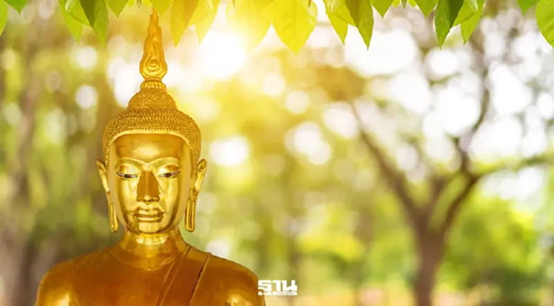 'วันมาฆบูชา' ไม่ใช่แค่วันหยุด เปิดลิสต์กิจกรรมทำบุญ–เวียนเทียนทั่วไทย 'วันมาฆบูชา' ไม่ใช่แค่วันหยุด เปิดลิสต์กิจกรรมทำบุญ–เวียนเทียนทั่วไทย