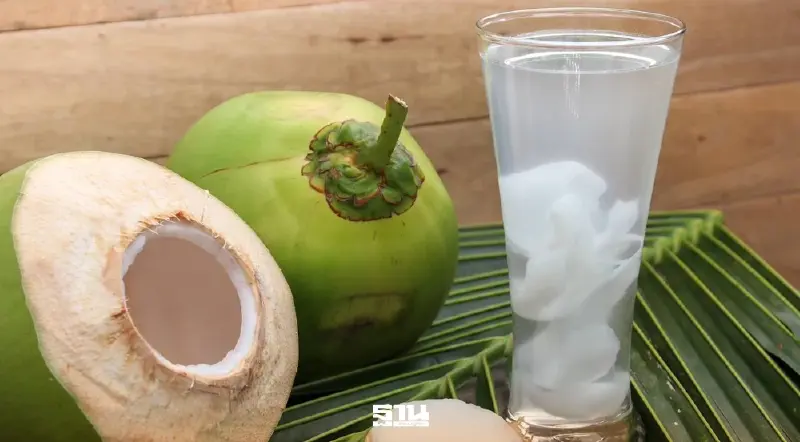 'มะพร้าวน้ำหอมราชบุรี' ผงาดคว้า GI ยุโรป ดันส่งออกพุ่ง